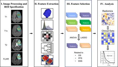 Multiple Survival Outcome Prediction of Glioblastoma Patients Based on Multiparametric MRI